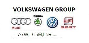 VOLKSWAGEN GROUP